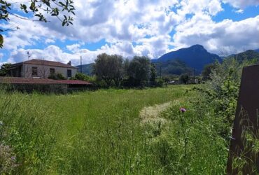 Οικόπεδο προς πώληση στο Ξηροκάμπι Λακωνίας