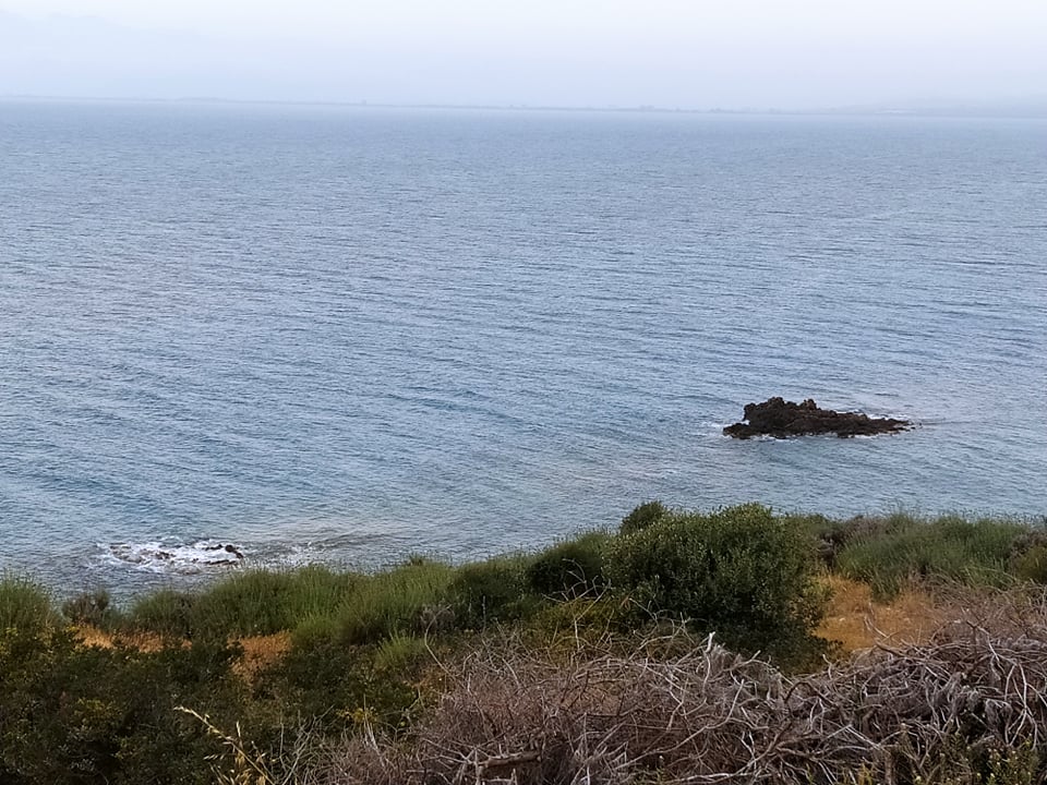 Πωλείται οικόπεδο κατάλληλο για ξενοδοχείο στην Ελιά Λακωνίας