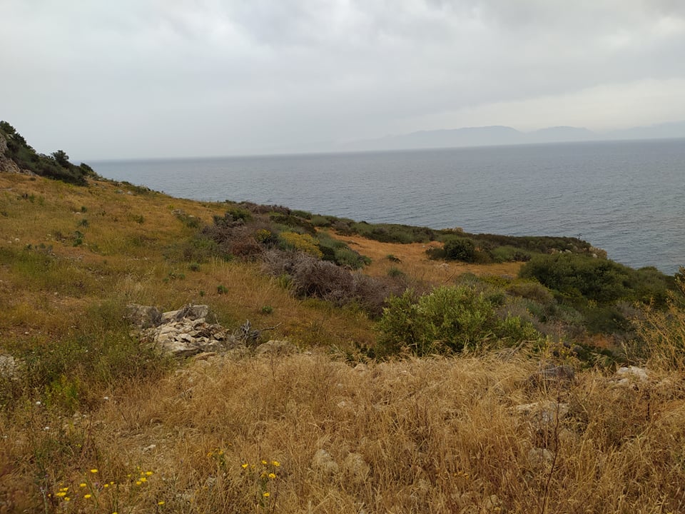 Πωλείται οικόπεδο κατάλληλο για ξενοδοχείο στην Ελιά Λακωνίας