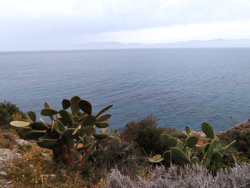 Πωλείται οικόπεδο κατάλληλο για ξενοδοχείο στην Ελιά Λακωνίας