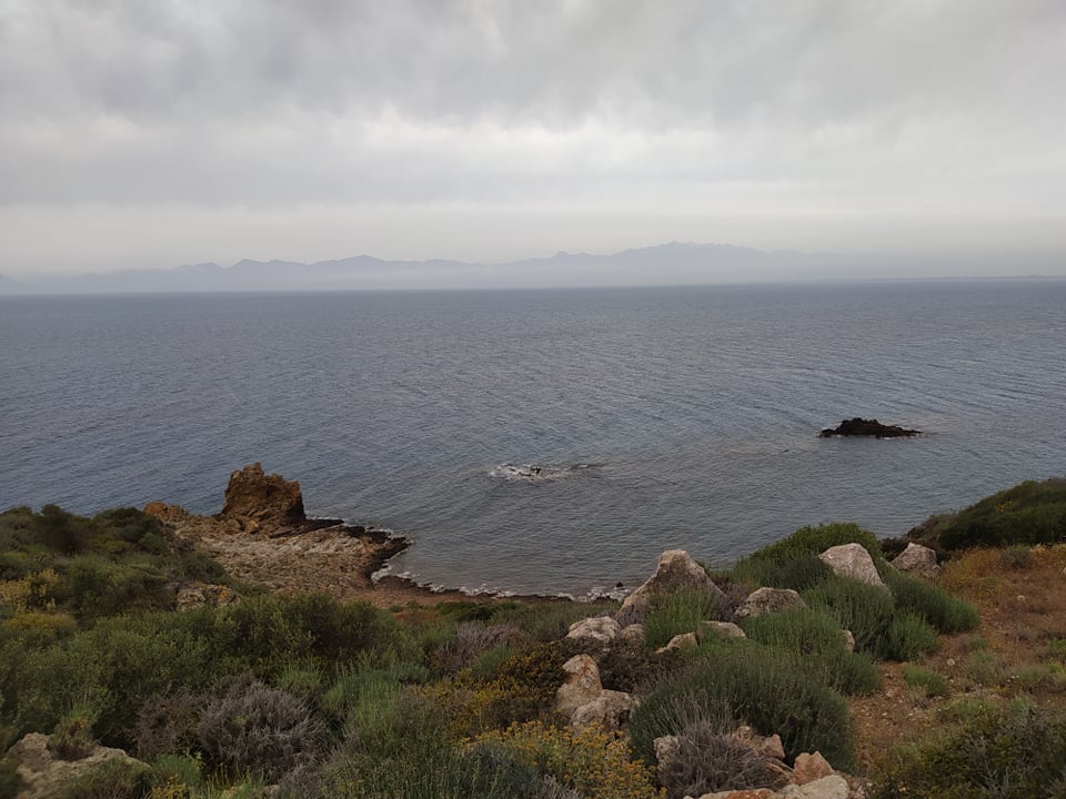 Πωλείται οικόπεδο κατάλληλο για ξενοδοχείο στην Ελιά Λακωνίας