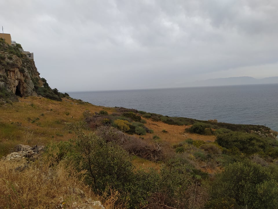 Πωλείται οικόπεδο κατάλληλο για ξενοδοχείο στην Ελιά Λακωνίας