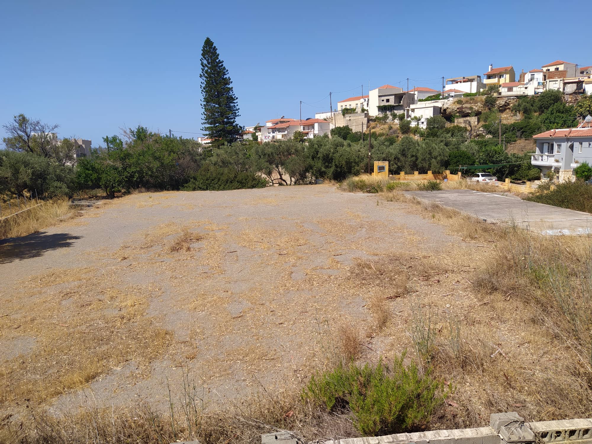 ΝΕΑΠΟΛΗ ΛΑΚΩΝΙΑΣ – ΠΩΛΕΙΤΑΙ ΟΙΚΟΠΕΔΟ 1.600 Τ.Μ