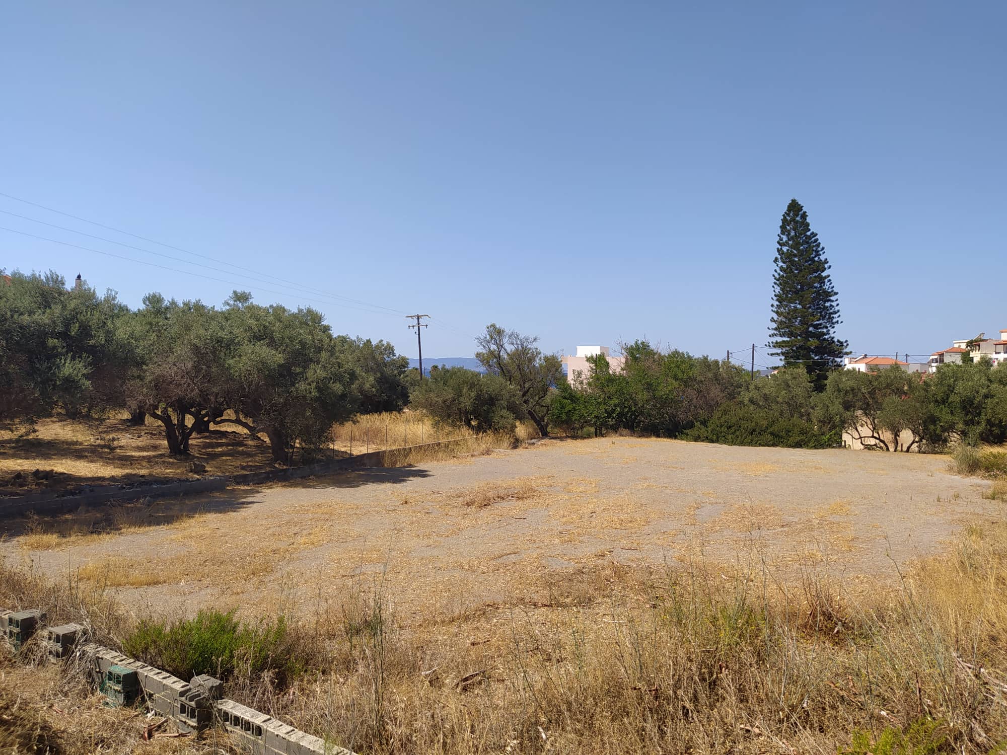 ΝΕΑΠΟΛΗ ΛΑΚΩΝΙΑΣ – ΠΩΛΕΙΤΑΙ ΟΙΚΟΠΕΔΟ 1.600 Τ.Μ