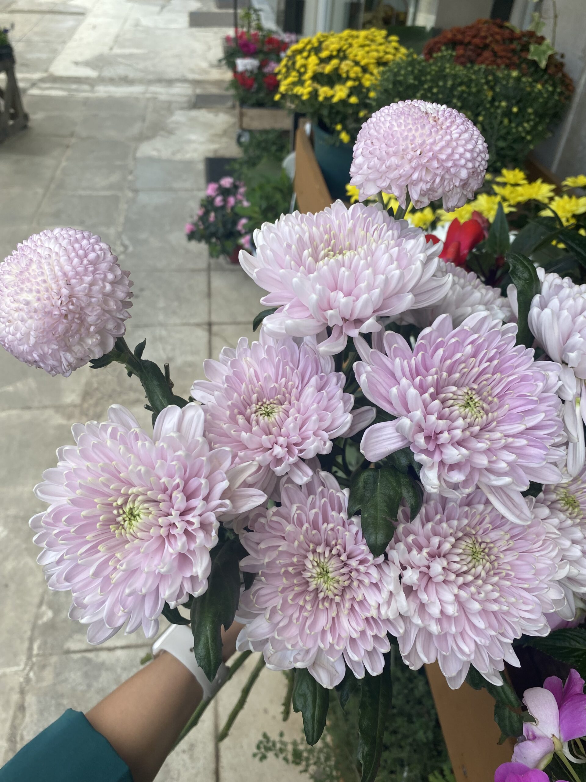 Μπουκέτα Vergadou Spartan Flowers