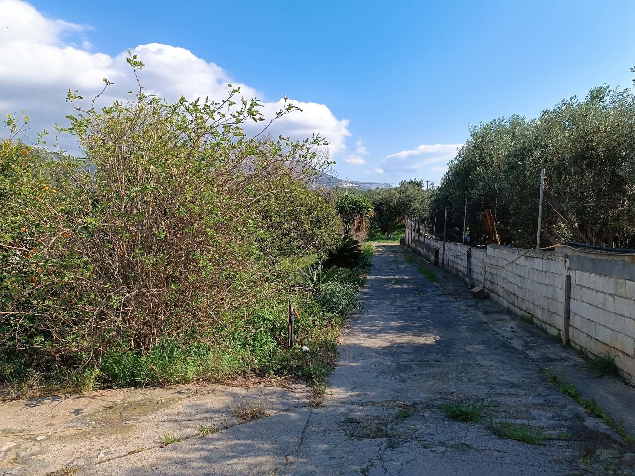 Νεάπολη Λακωνίας, πωλείται μονοκατοικία 98 τ.μ σε οικόπεδο 1.000 τ.μ