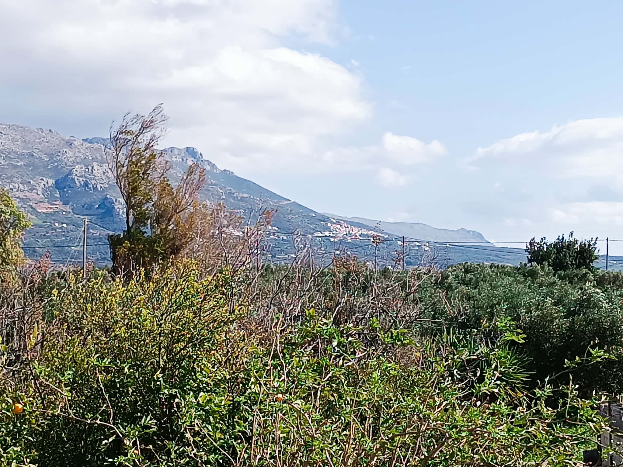 Νεάπολη Λακωνίας, πωλείται μονοκατοικία 98 τ.μ σε οικόπεδο 1.000 τ.μ