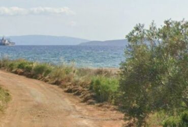 Νεάπολη Βάτικα Λακωνίας – Πωλείται παραθαλάσσια έκταση 18.000 τ.μ