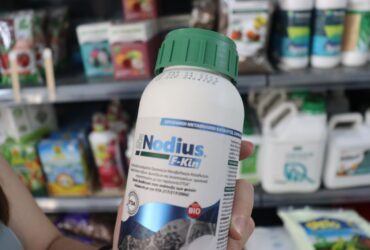 Λίπασμα Nodius F-Kin Βιοδιεγέρτης υψηλής βιολογικής δράσης – Κωνσταντίνα Βουνάση Γεωπόνος Σπάρτη