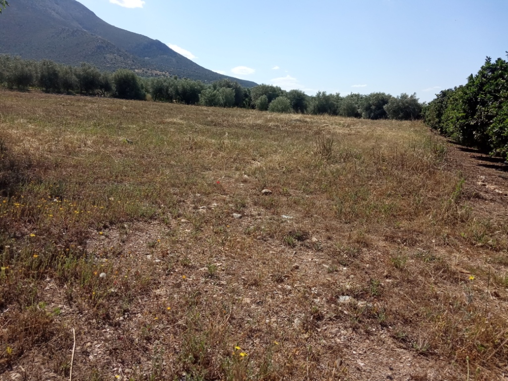 Γλυκόβρυση Λακωνίας, πωλείται οικοπεδική 4.557 τ.μ.
