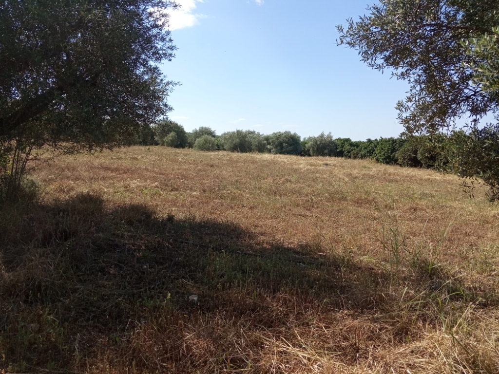 Γλυκόβρυση Λακωνίας, πωλείται οικοπεδική 4.557 τ.μ.