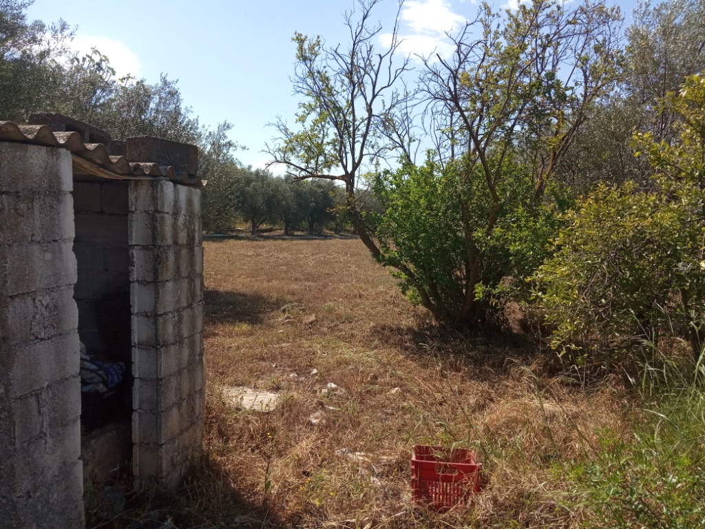 Γλυκόβρυση Λακωνίας, πωλείται οικοπεδική 4.557 τ.μ.