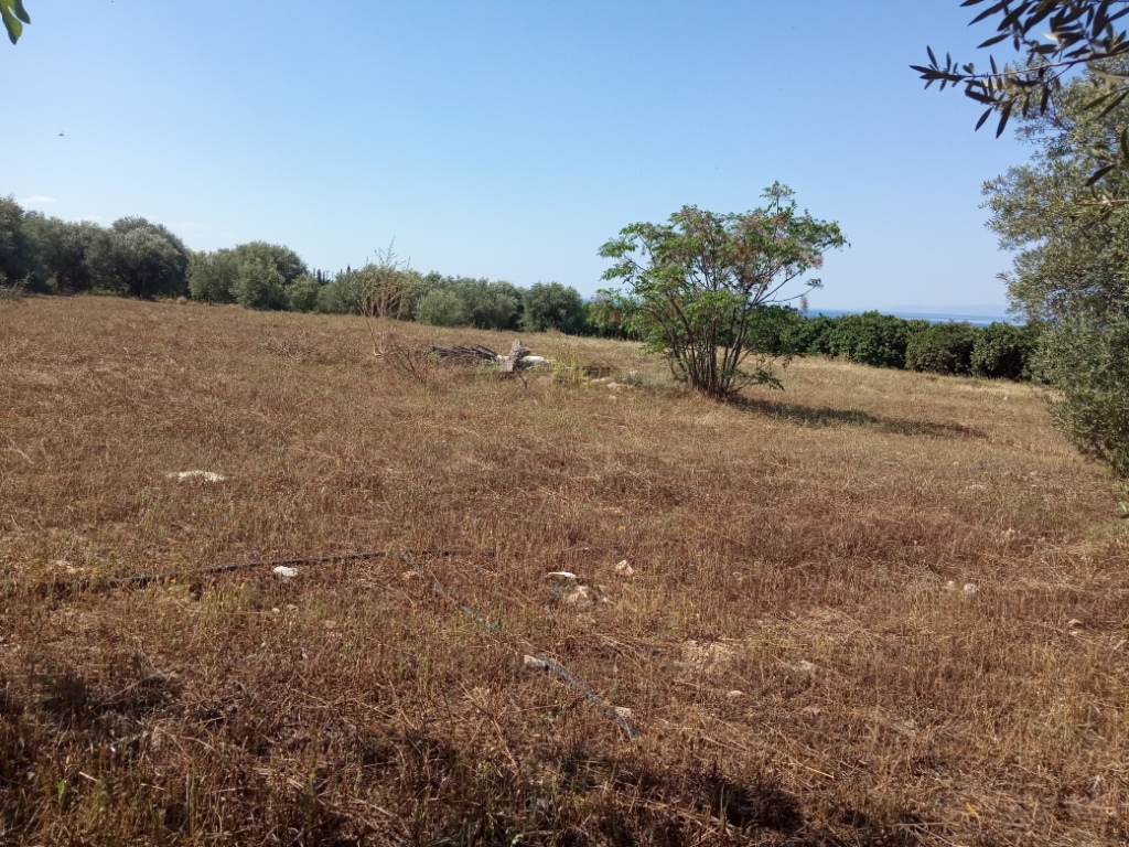 Γλυκόβρυση Λακωνίας, πωλείται οικοπεδική 4.557 τ.μ.