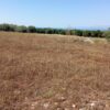 Γλυκόβρυση Λακωνίας, πωλείται οικοπεδική 4.557 τ.μ.