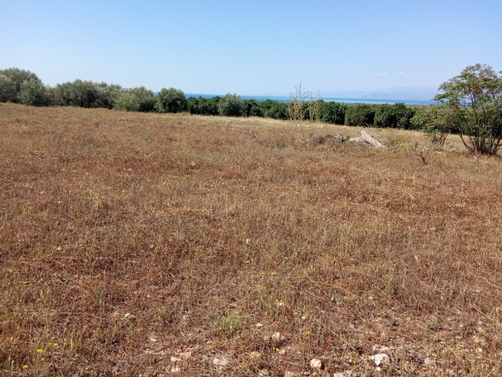 Γλυκόβρυση Λακωνίας, πωλείται οικοπεδική 4.557 τ.μ.