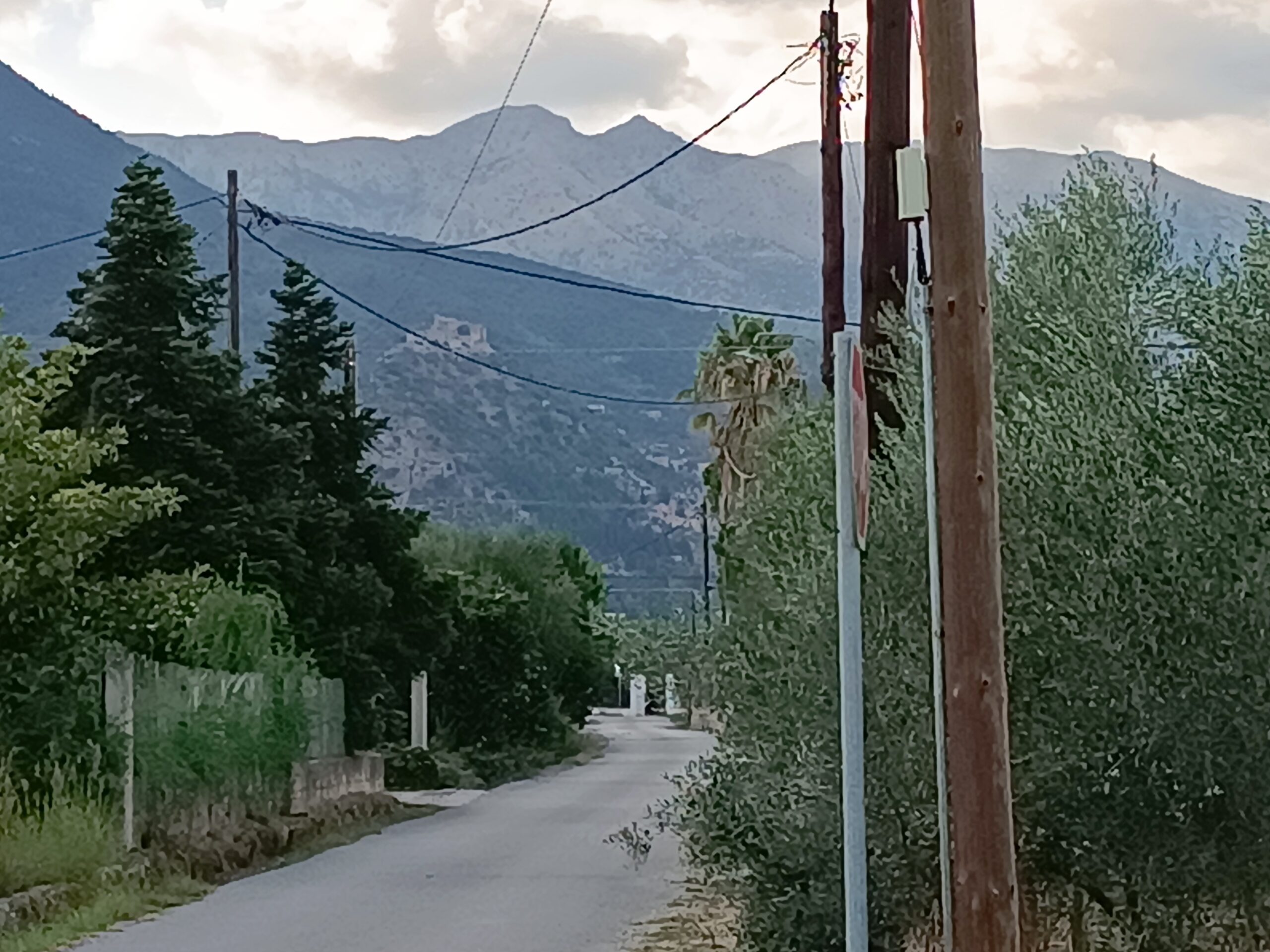 Σπάρτη – Πωλείται οικόπεδο 8.545 τ.μ. εντός οικισμού ΠΑΚΩΤΑ
