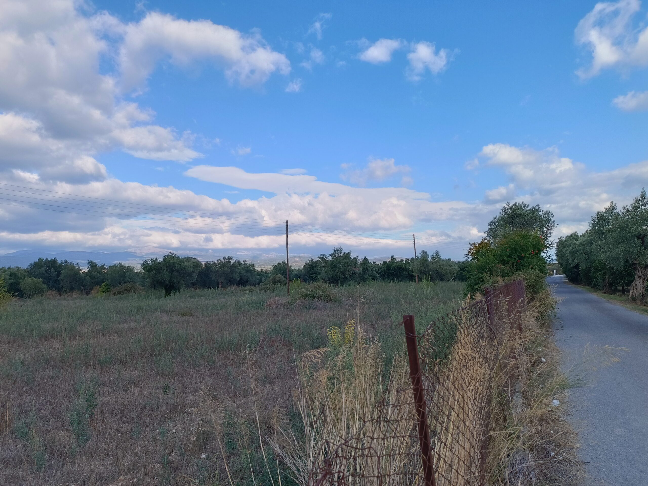 Σπάρτη – Πωλείται οικόπεδο 8.545 τ.μ. εντός οικισμού ΠΑΚΩΤΑ