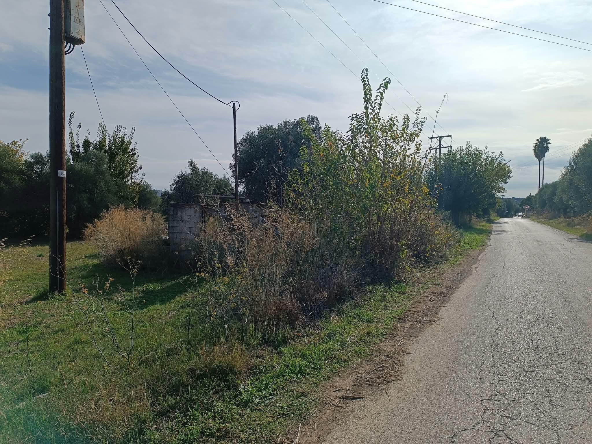 ΡΙΖΑ ΣΠΑΡΤΗΣ – Πωλείται επίπεδο και οικοδομήσιμο κτήμα 22.645 τ.μ.