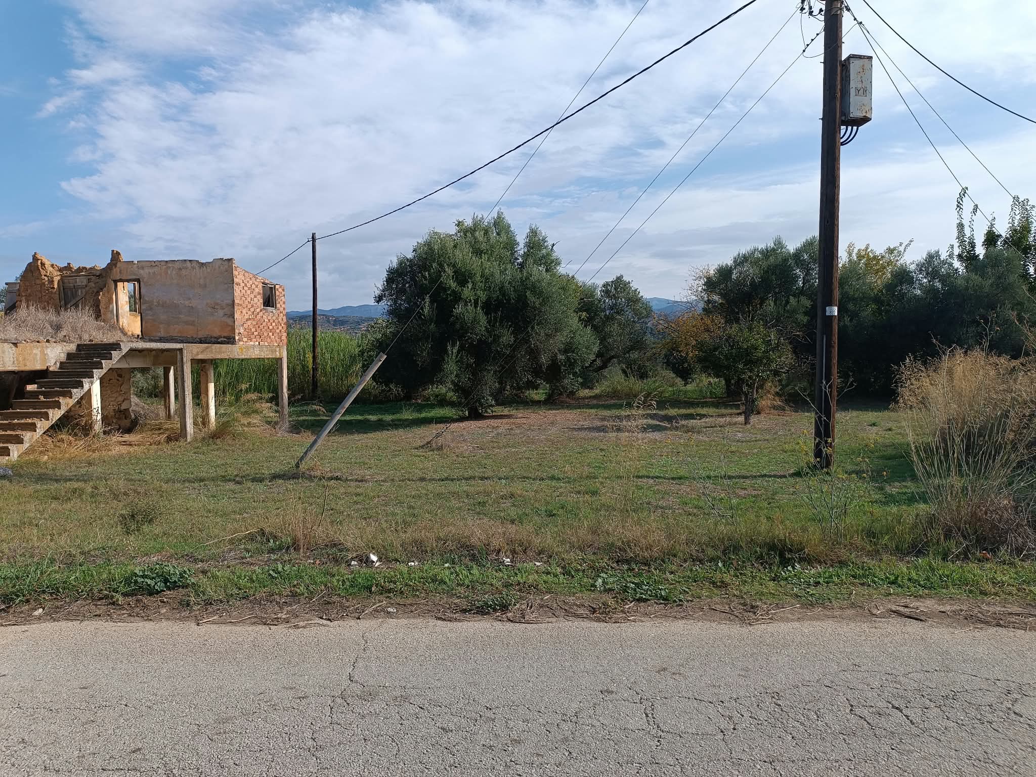 ΡΙΖΑ ΣΠΑΡΤΗΣ – Πωλείται επίπεδο και οικοδομήσιμο κτήμα 22.645 τ.μ.